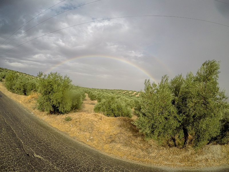 arcoiris.jpg