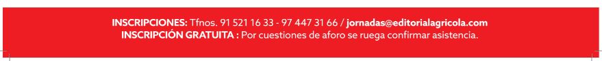 INSECRIPCIONES.JPG