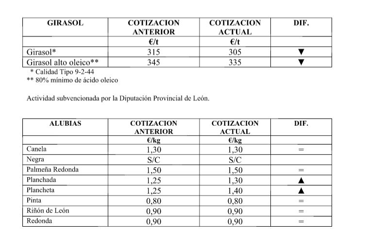 LONJALEON2GIRASOLALUBIAS.JPG