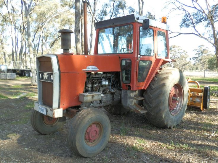 mF1135.jpg