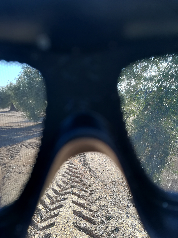 gafas01.jpg