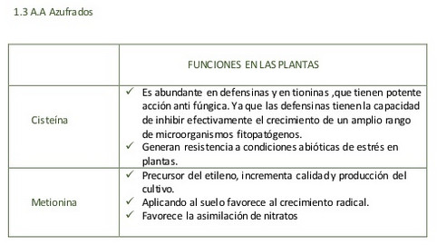 aminoacidos03.jpg