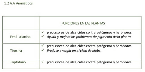 aminoacidos02.jpg