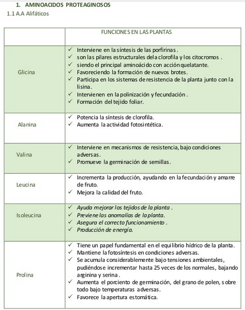aminoacidos01.jpg