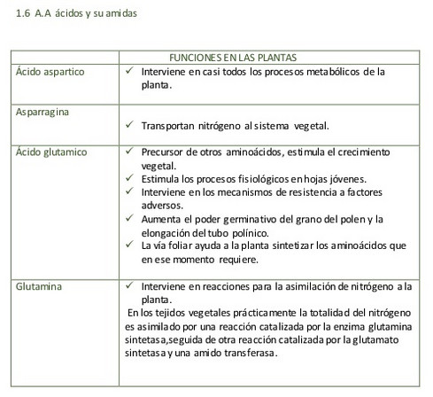 aminoacidos06.jpg