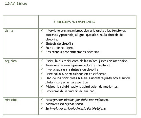 aminoacidos05.jpg