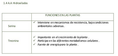 aminoacidos04.jpg