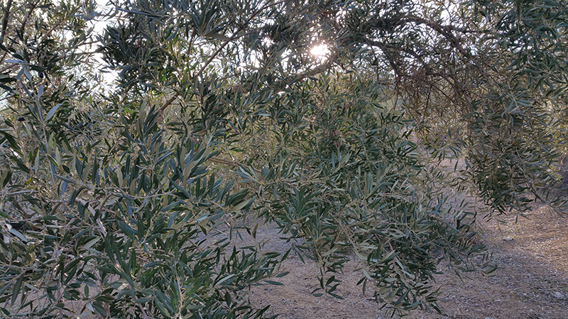 quebradas03.jpg