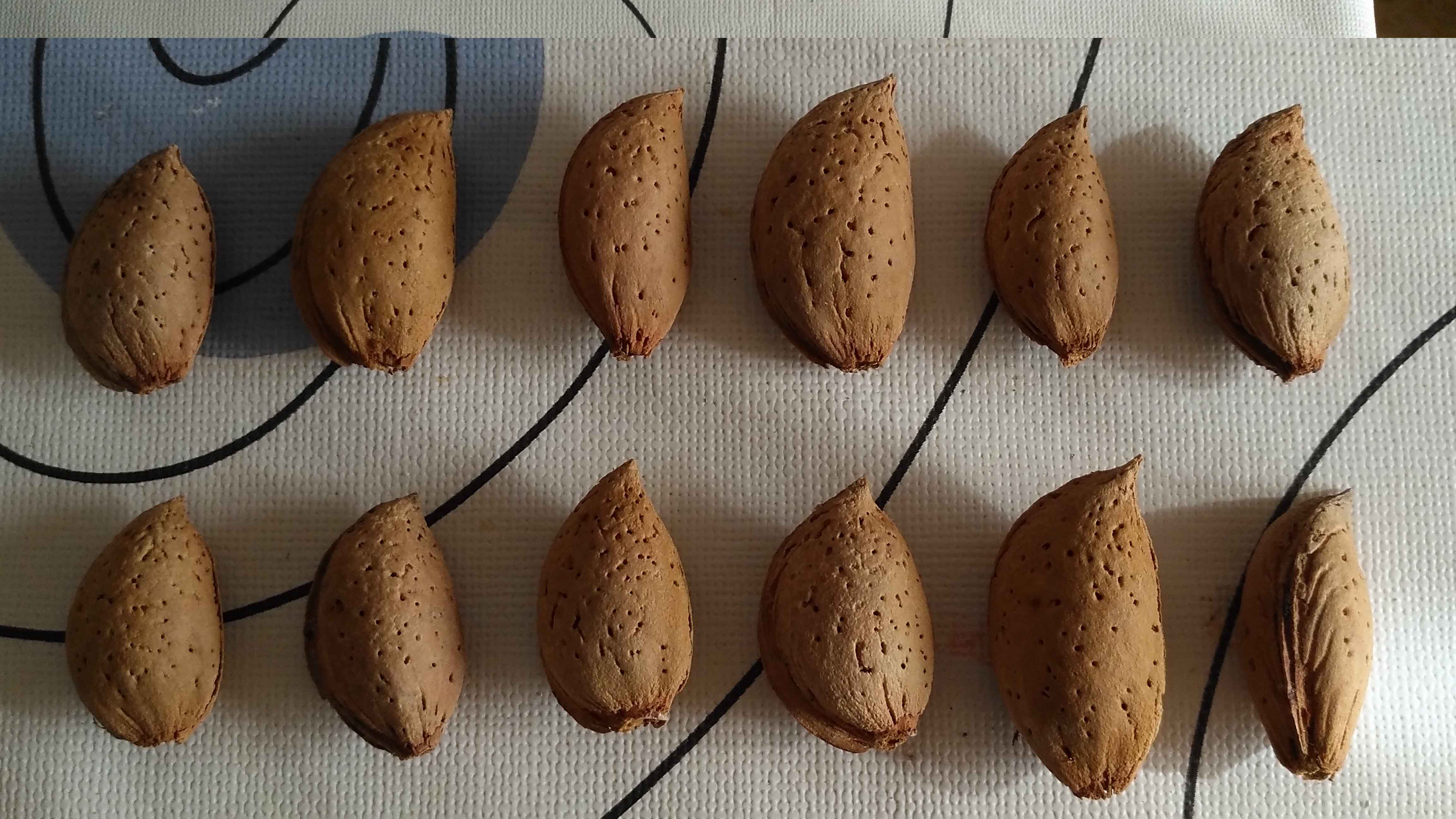 Almendras.jpg