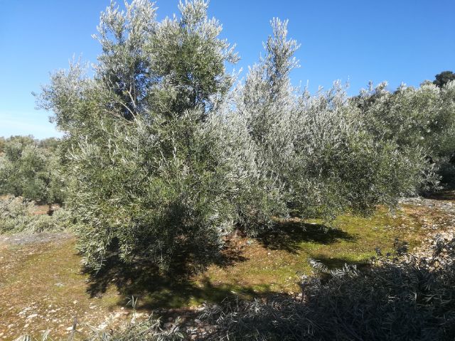 IMG_20180321_41827.jpg