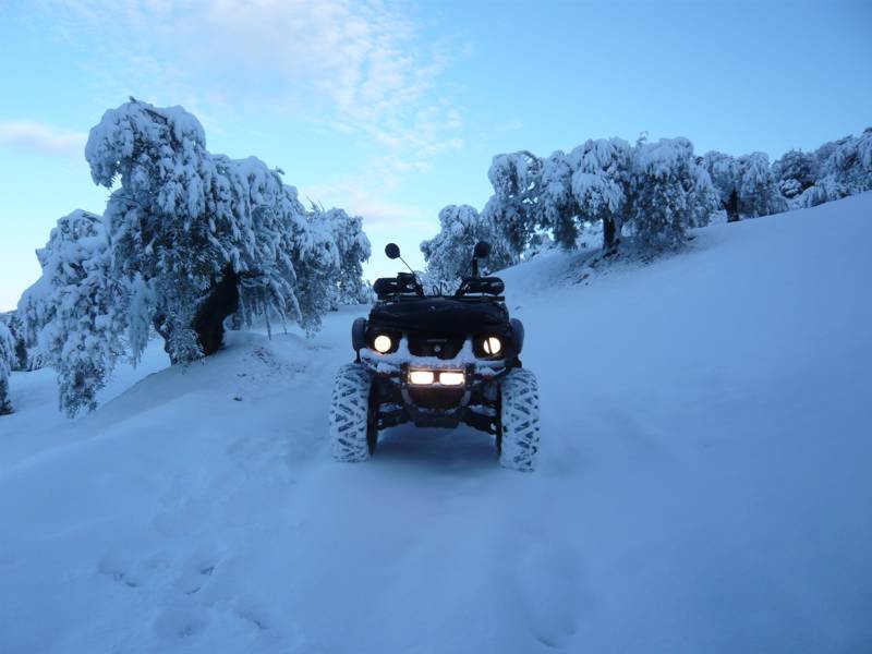 GRIZZLY_NIEVE_01.jpg