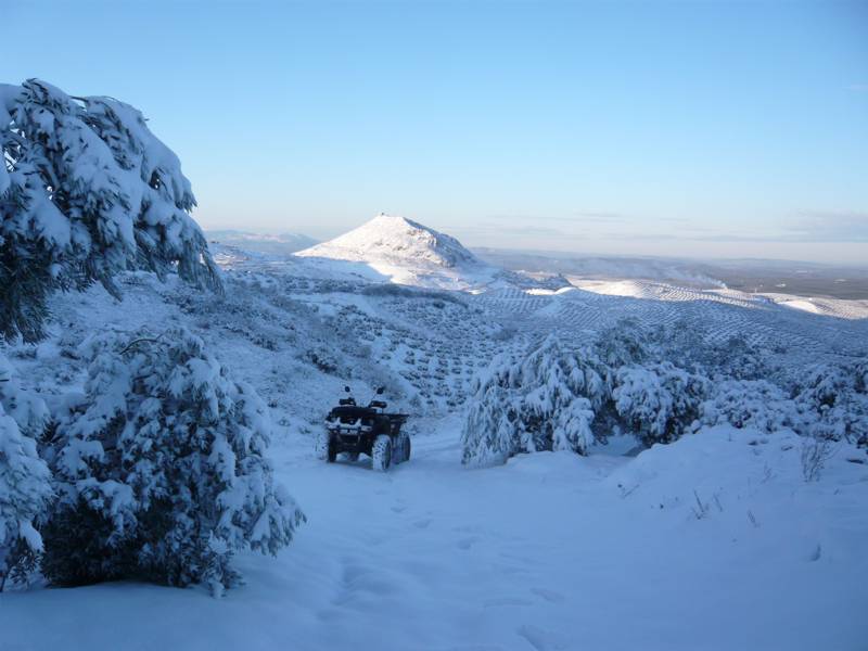 GRIZZLY_NIEVE_02.jpg