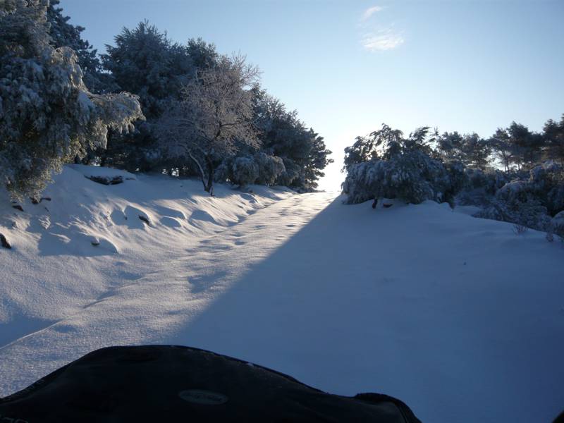 GRIZZLY_NIEVE_03.jpg