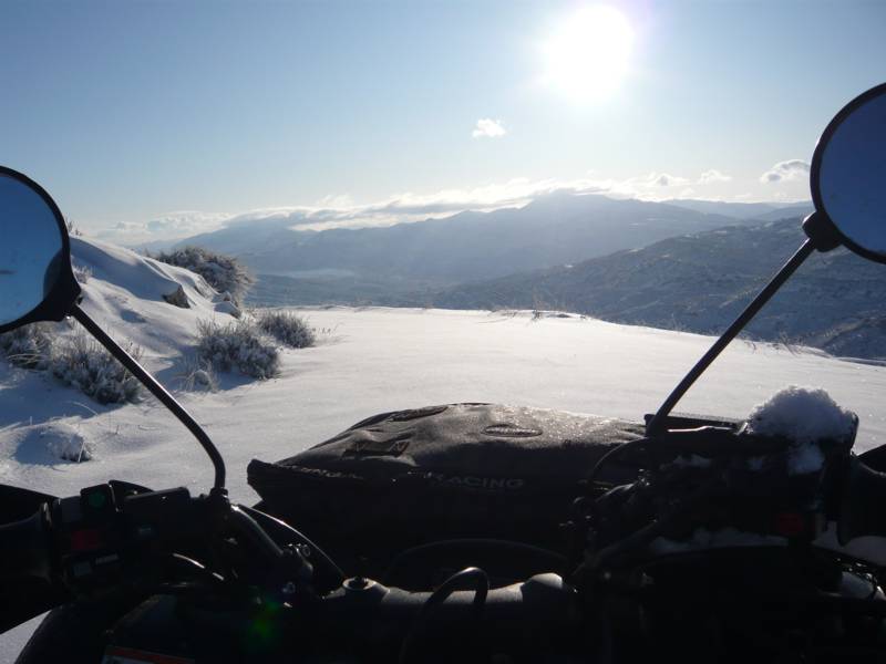 GRIZZLY_NIEVE_06.jpg