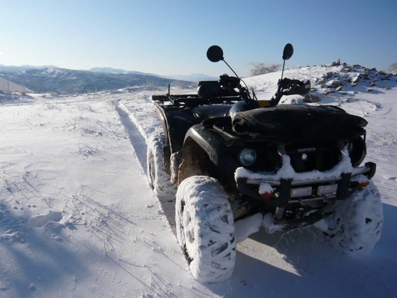 GRIZZLY_NIEVE_08.jpg