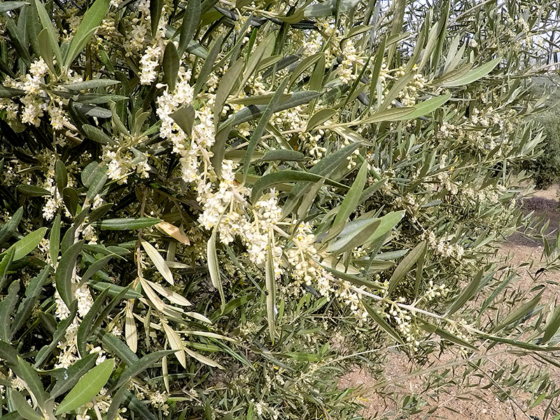 quebradas04.jpg
