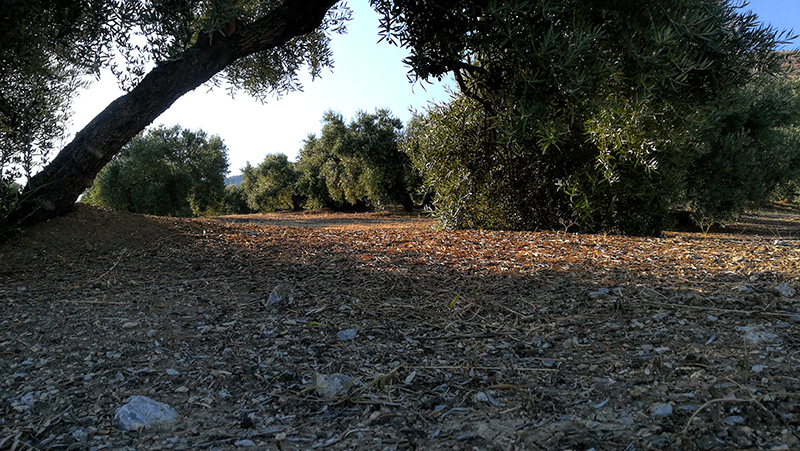QUEBRADAS02.jpg
