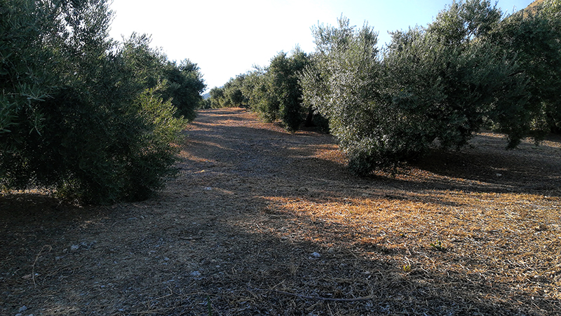 QUEBRADAS01.jpg