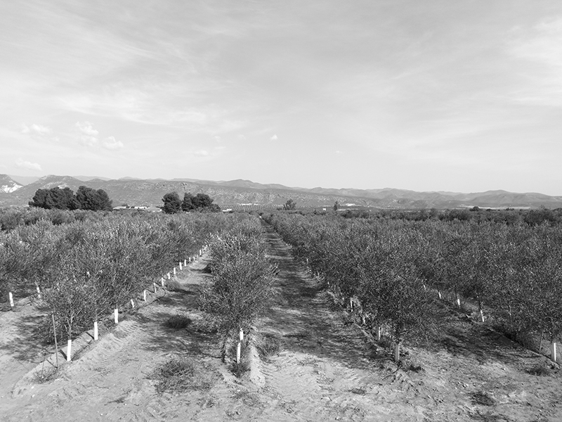 tabernas01.jpg