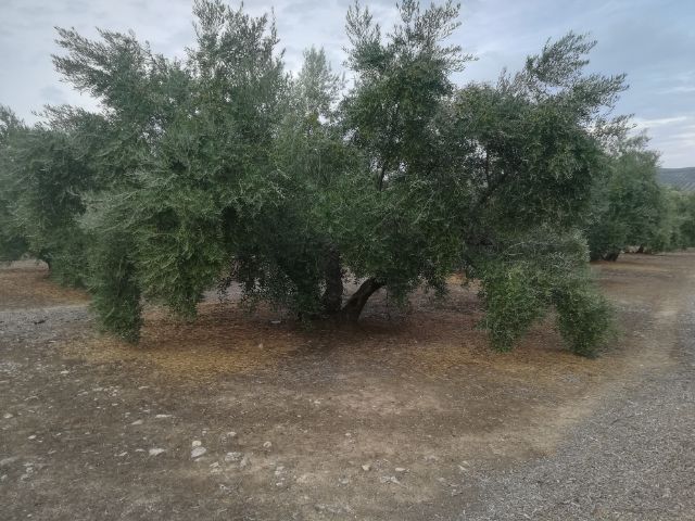 IMG_20180914_0360.jpg