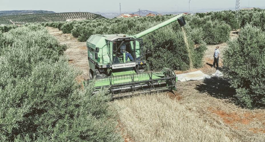 cosechadoracruzcampo.jpg
