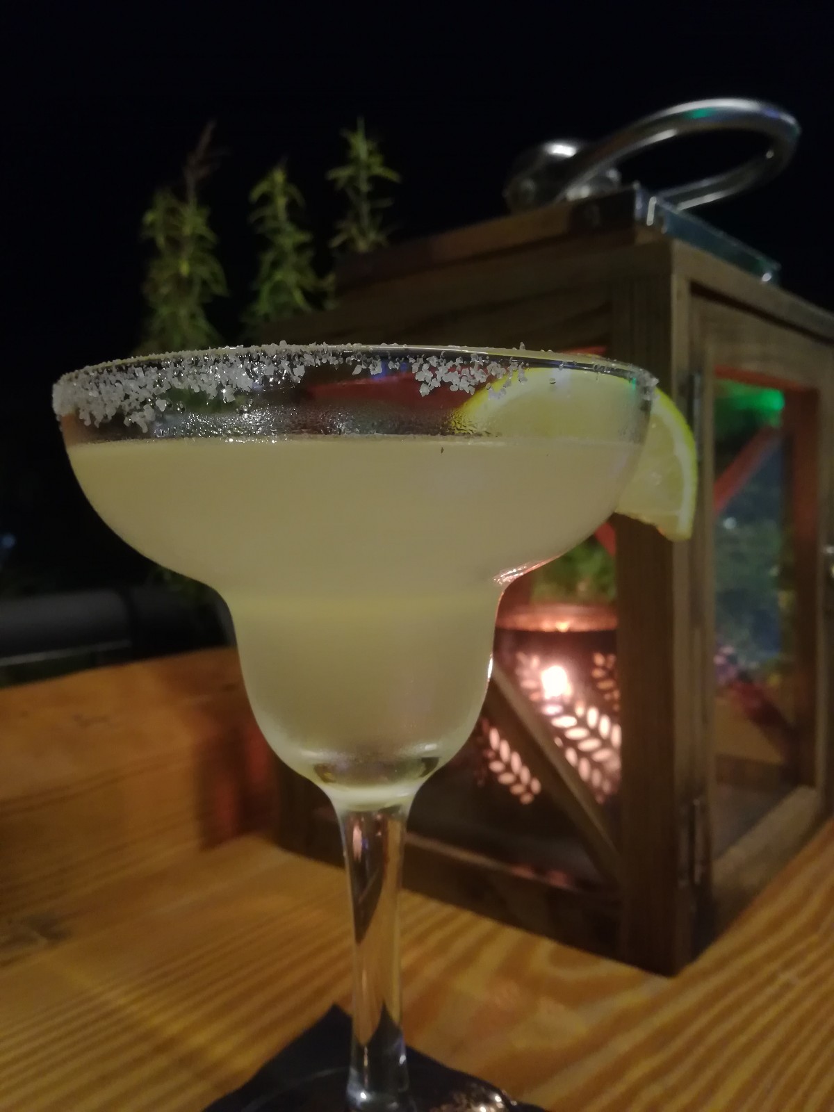 margarita.jpg