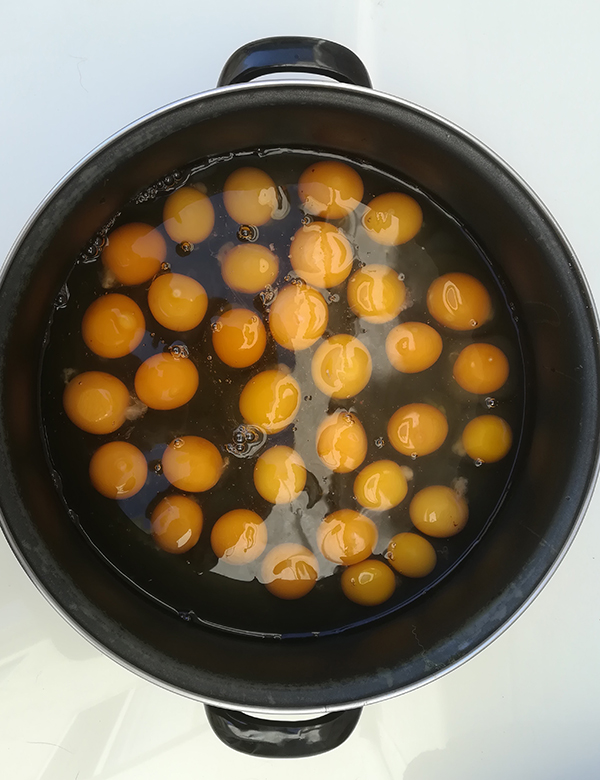 TORTILLA01.jpg