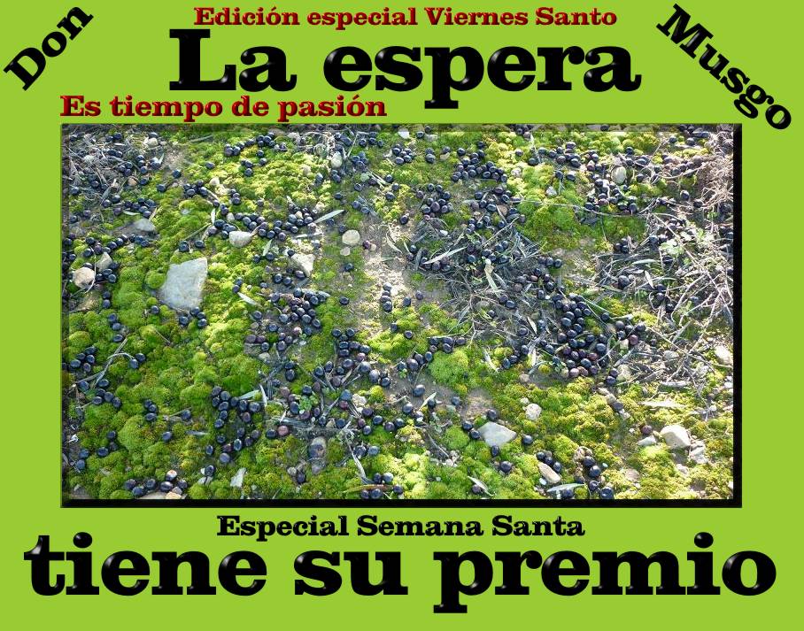 donmusgosemanasanta.jpg