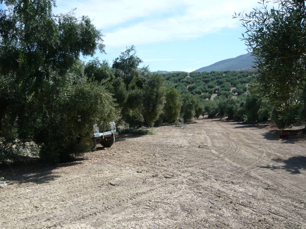 piedrasdelmolino13.jpg