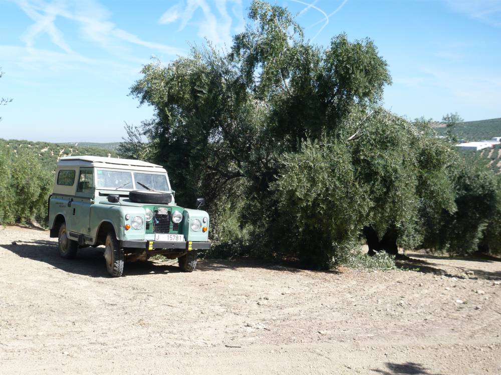 piedrasdelmolino20.jpg