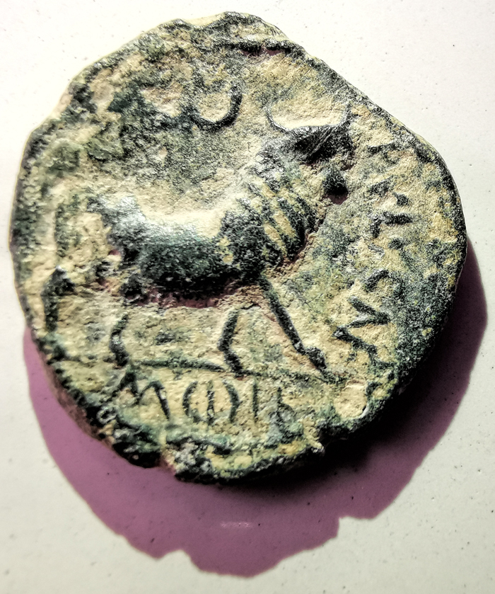 reverso-ibera.jpg