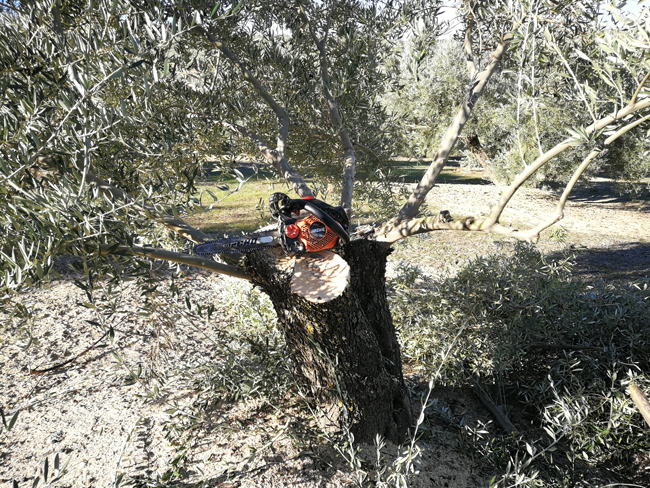 corta_quebradas-04.jpg