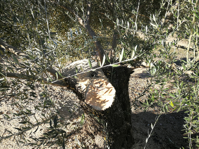 corta_quebradas-03.jpg