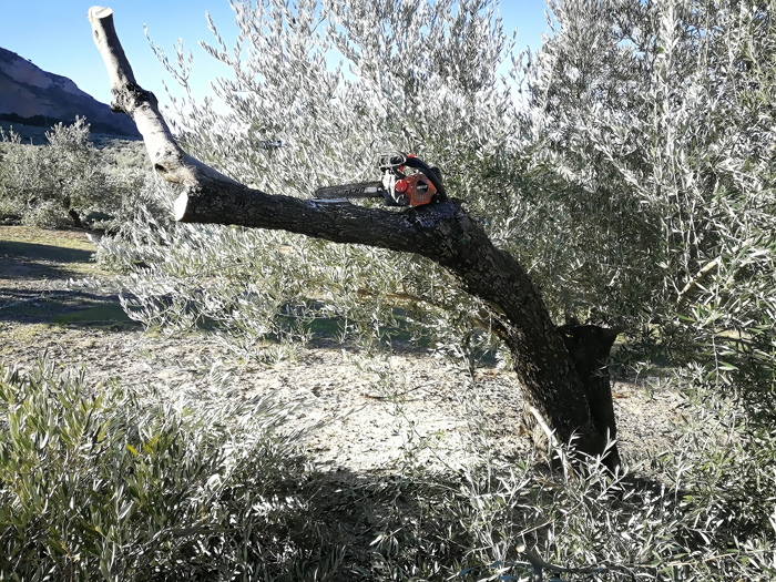corta_quebradas-02.jpg