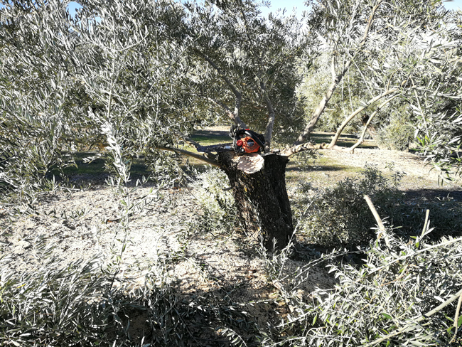 corta_quebradas-05.jpg