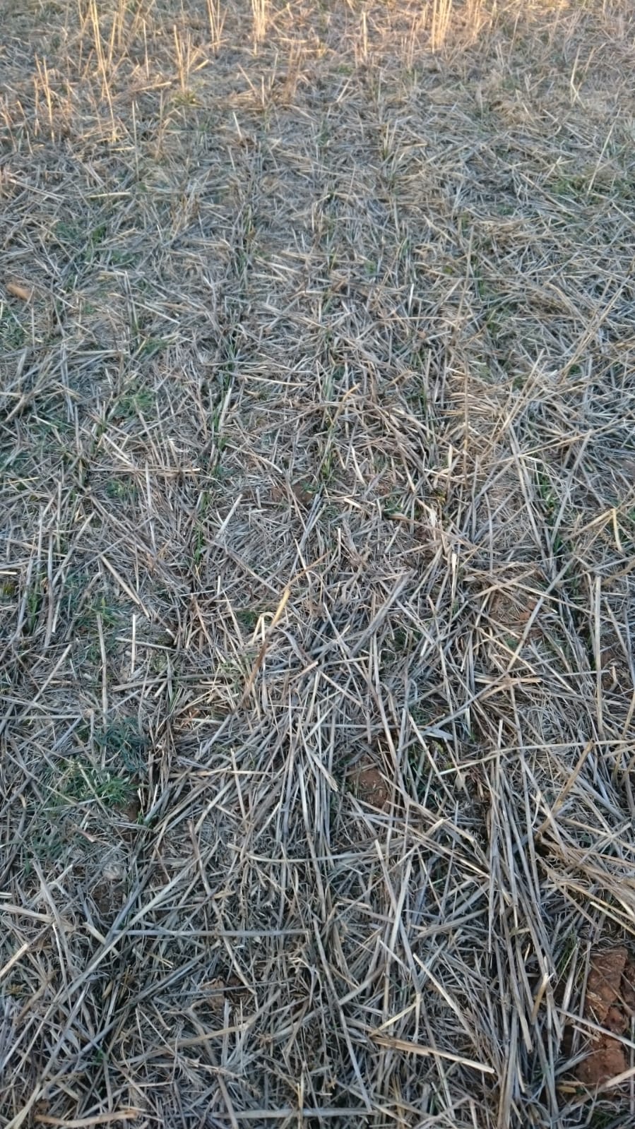 IMG-20190125-WA0021.jpg