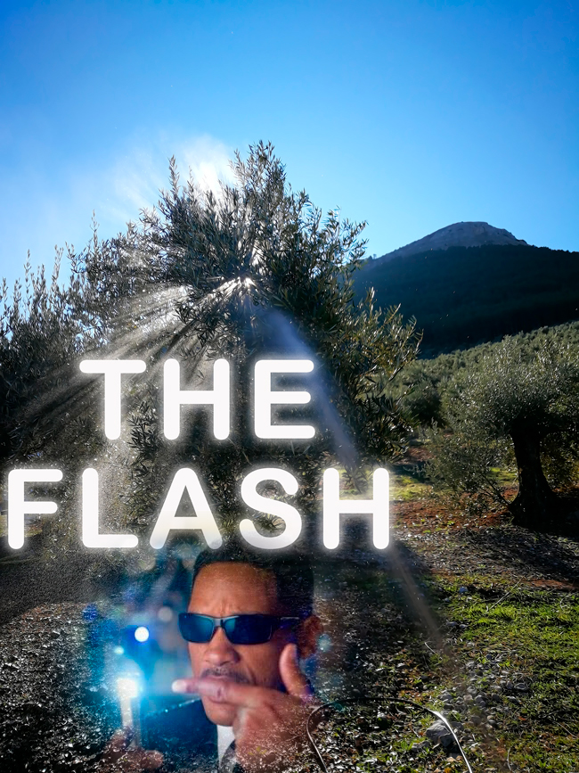 FLASH.jpg