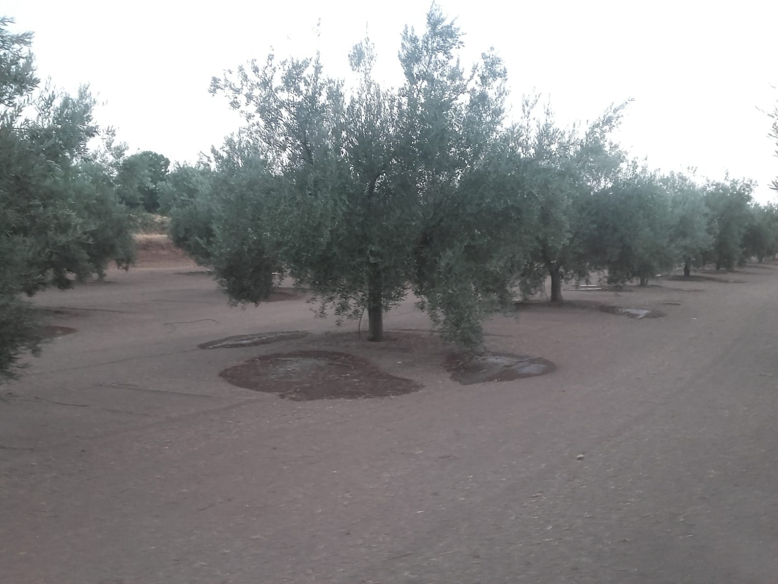 IMG-20190321-WA0033-min.jpg