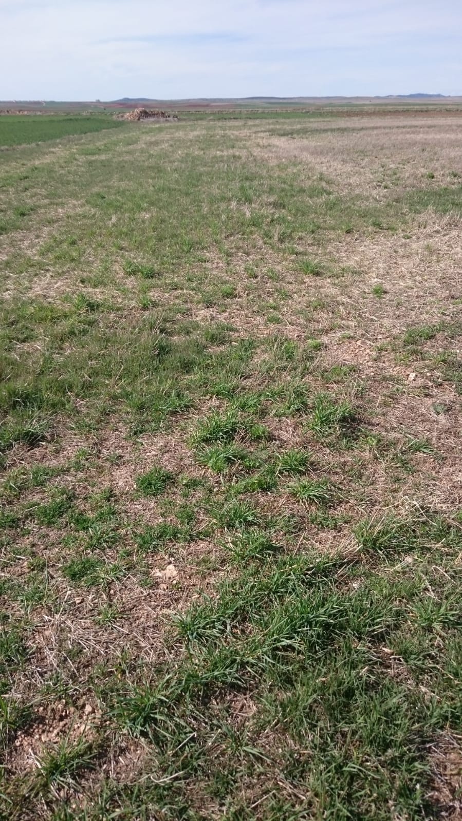IMG-20190416-WA0026.jpg