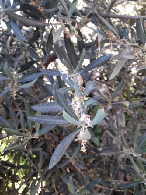 20190512_094524.jpg
