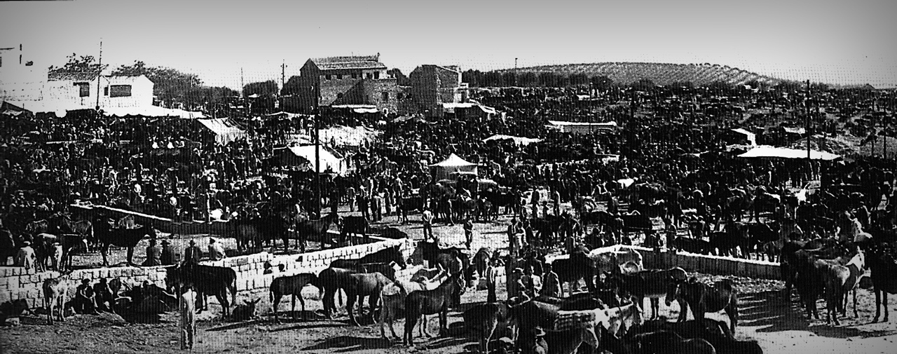 feria-de-san-lucas.jpg