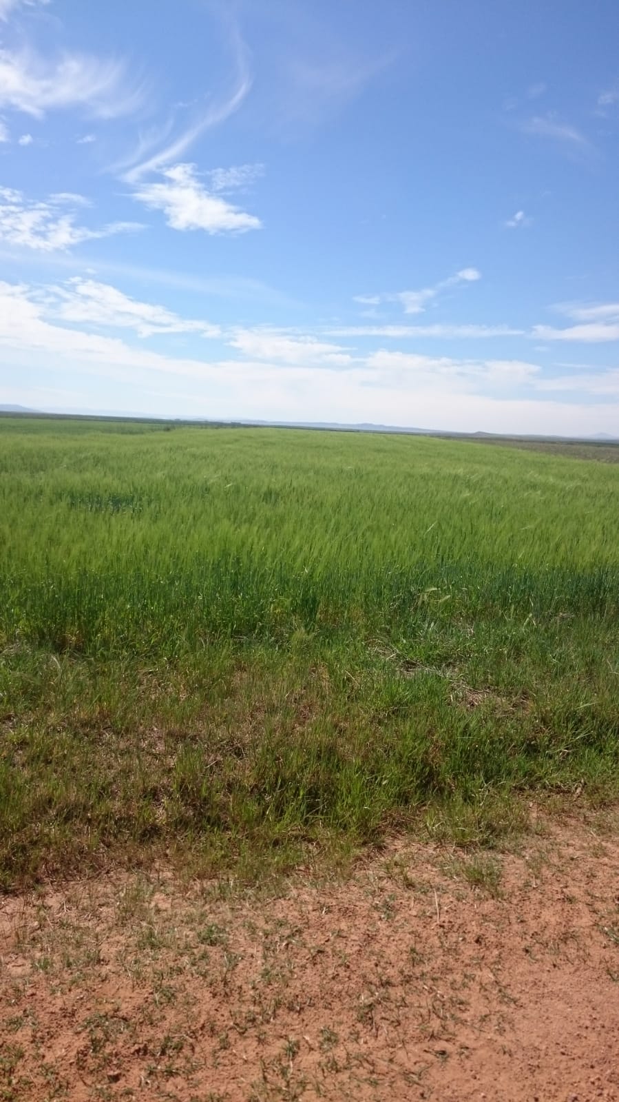 IMG-20190516-WA0004.jpg