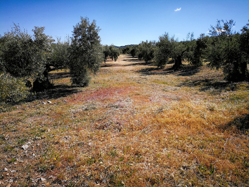cubierta-02.jpg