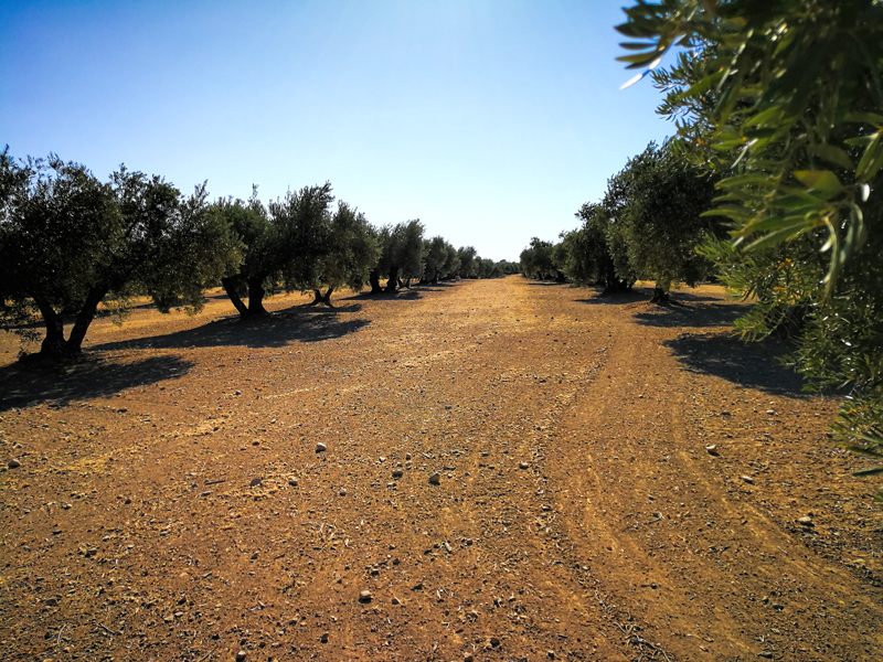 VILLAR-01.jpg