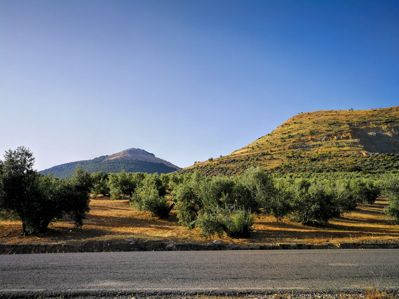 cubierta-03.jpg