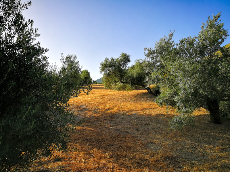 cubierta-02.jpg