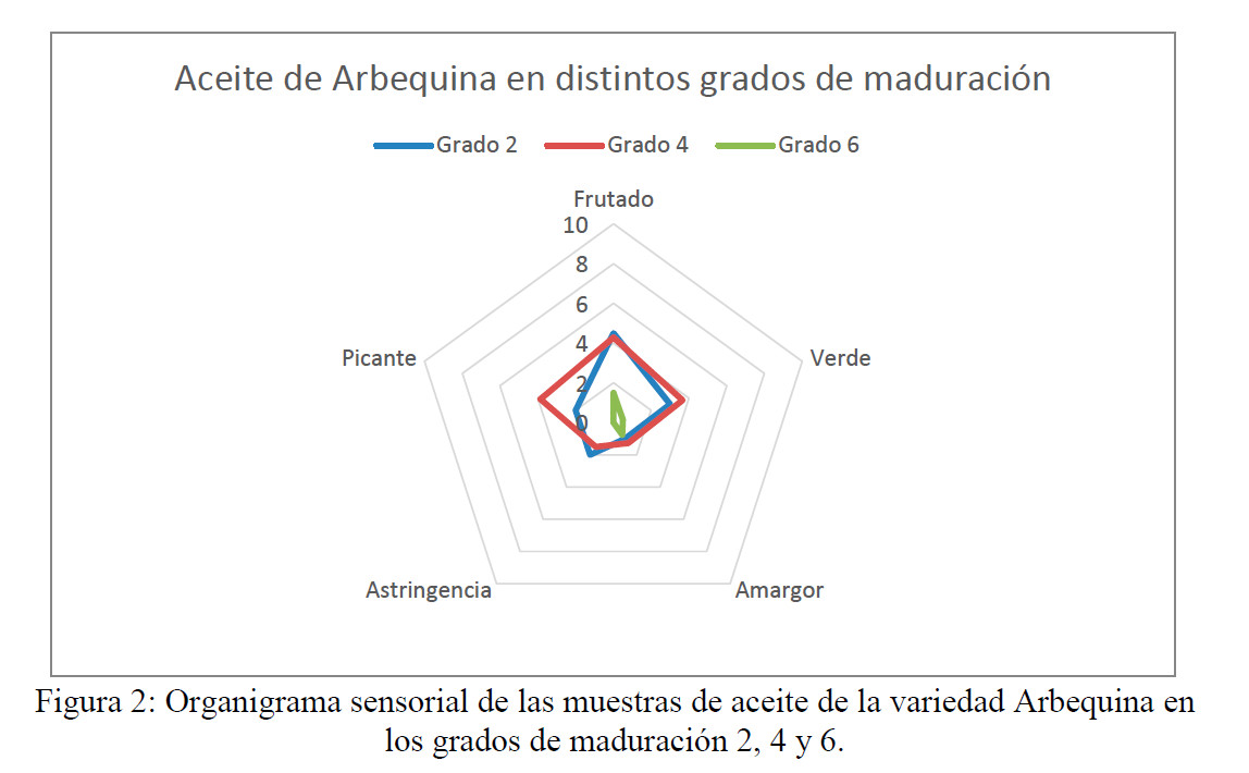 ACIDEZSETO02.jpg
