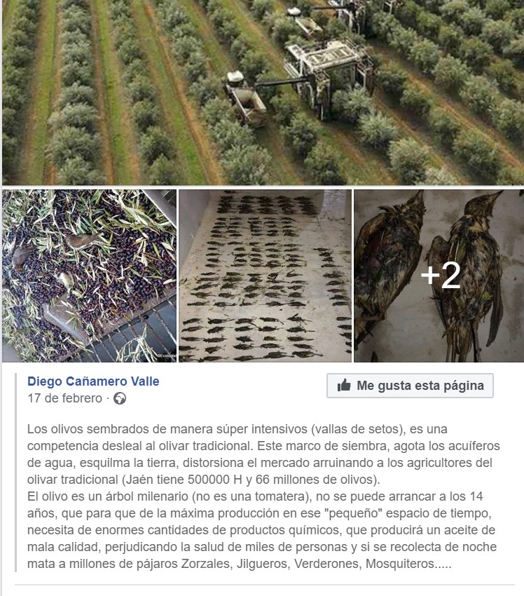 Anotacion2019-09-05232439.jpg