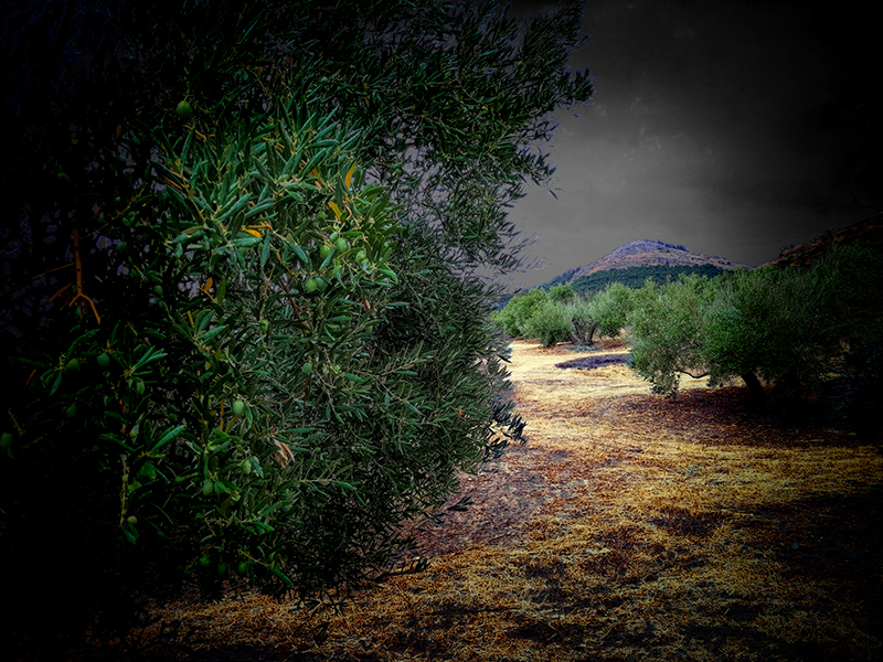 LLUVIA-02.jpg