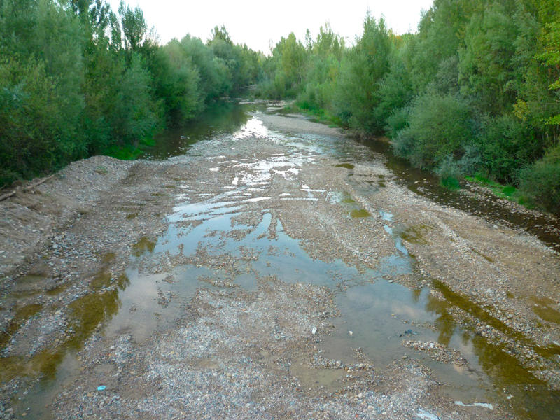 rios-con-vida.jpg